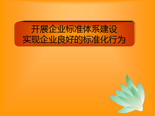 最新2019-企业标准体系建设-PPT课件