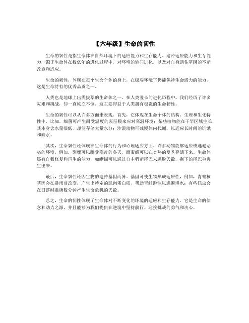 【六年级】生命的韧性