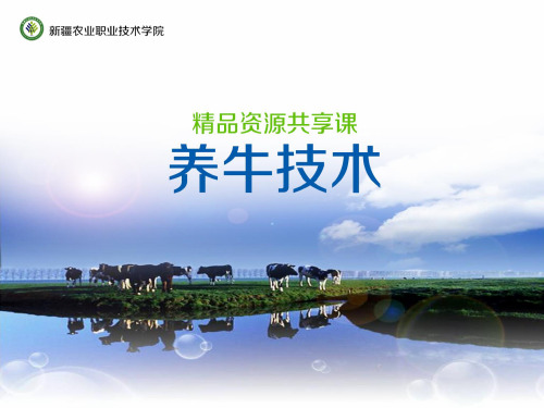 演示文稿13—学习情境3—牛场建设与环境控制2