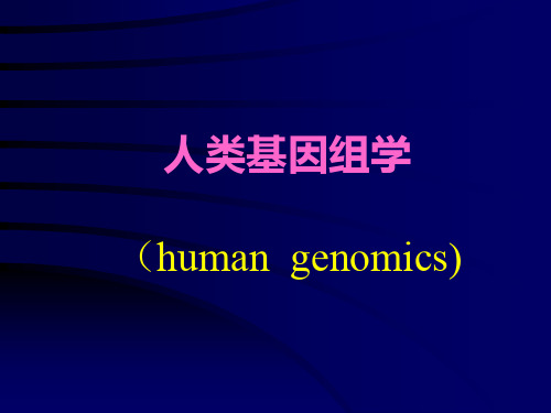 人类基因组学与基因组计划ppt课件
