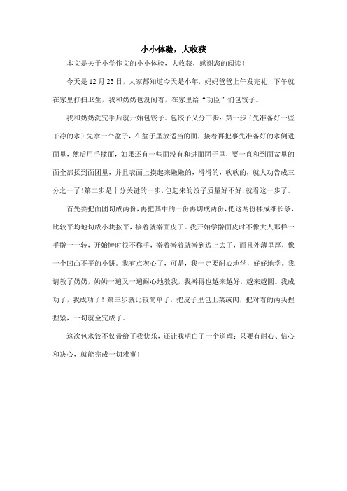 小小体验,大收获_小学作文