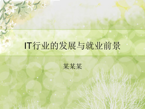 软件(IT)行业发展与就业.pptx