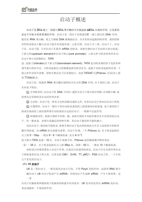 DNA启动子概述