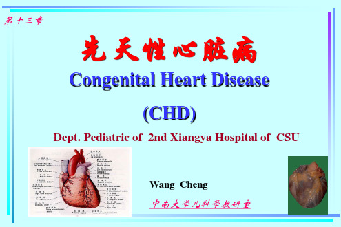 湘雅儿科精品课件-Congenital Heart Disease