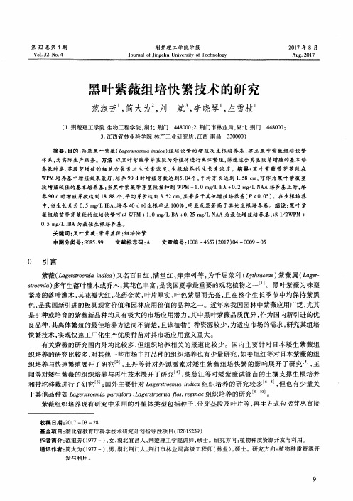 黑叶紫薇组培快繁技术的研究