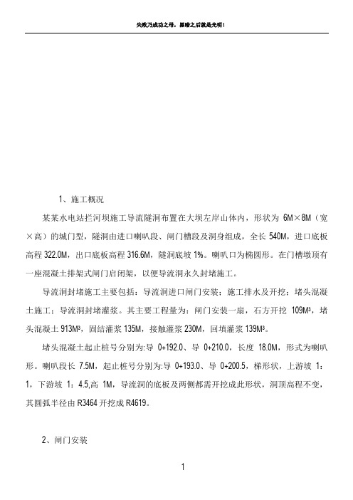 导流洞封堵方案11