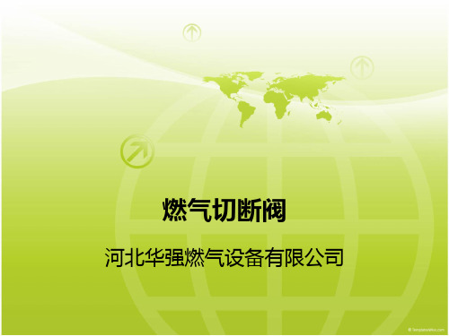 燃气切断阀
