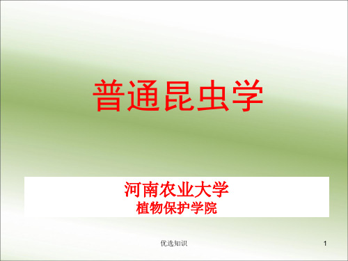 普通昆虫学绪论(专业教学)