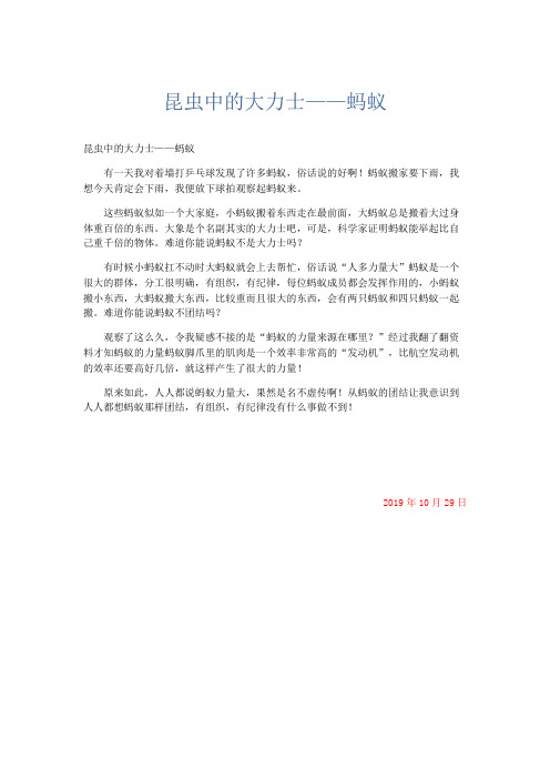 小学说明文 昆虫中的大力士——蚂蚁-精品