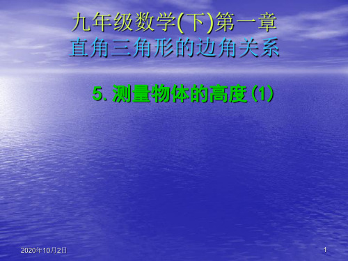 测量物体的高度(1)PPT课件