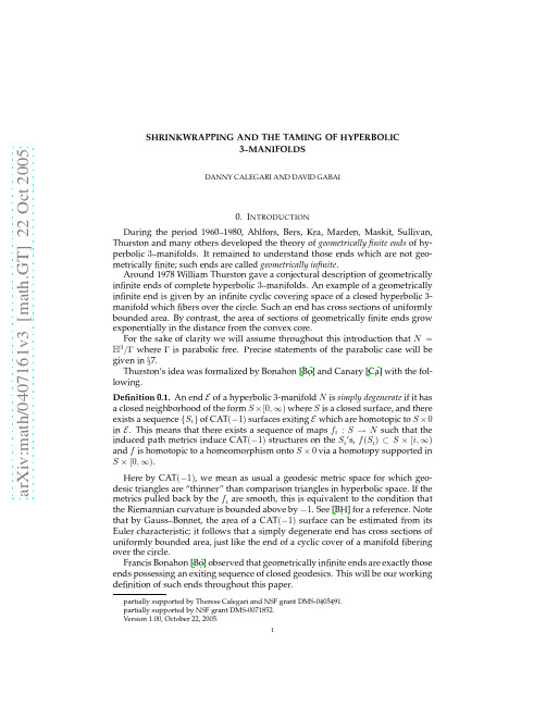 Shrinkwrapping and the taming of hyperbolic 3-manifolds