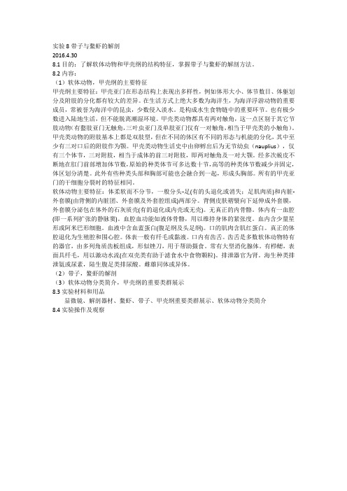 鳌虾与带子的解剖