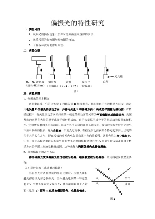 偏振光