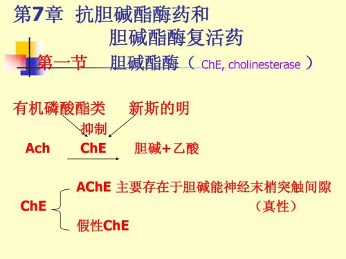 第7章抗胆碱酯酶药和胆碱酯酶复活药