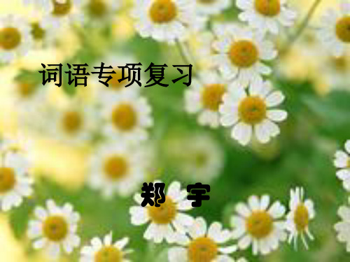 人教版小学三年级语文上词语专项复习
