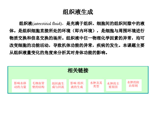 组织液生成