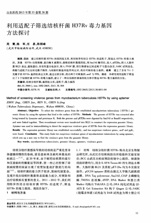 利用适配子筛选结核杆菌H37Rv毒力基因方法探讨