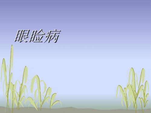 最新文档-5眼睑病泪器病课件-PPT精品文档