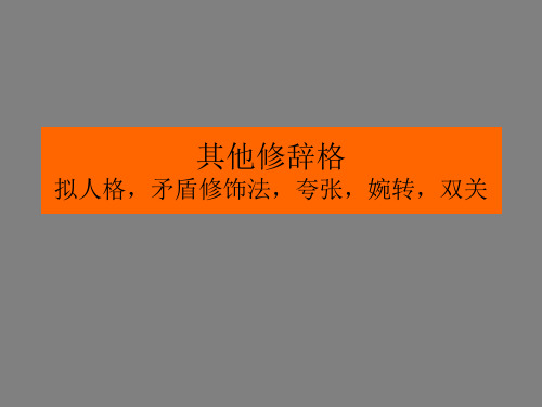 介绍法汉翻译中的修辞