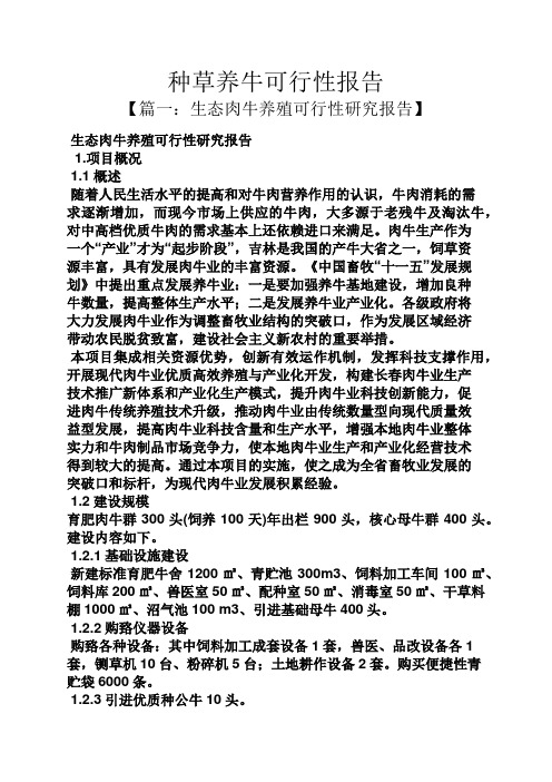 工作报告之种草养牛可行性报告