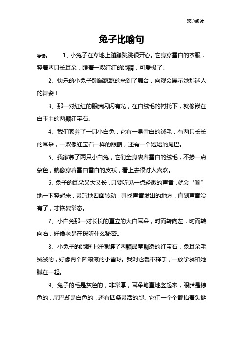 兔子比喻句