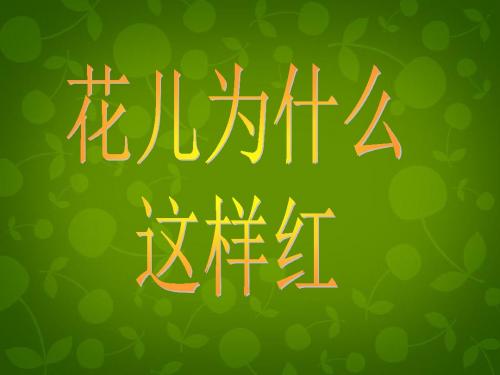 八年级语文下册15《花儿为什么这样红》课件+苏教版