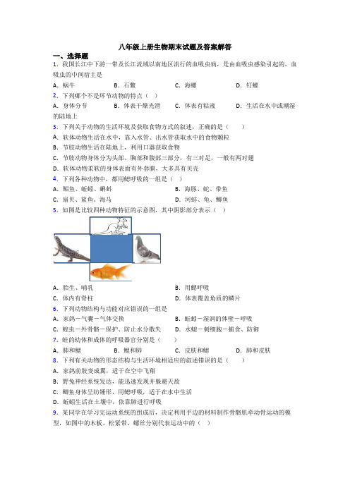 八年级上册生物期末试题及答案解答
