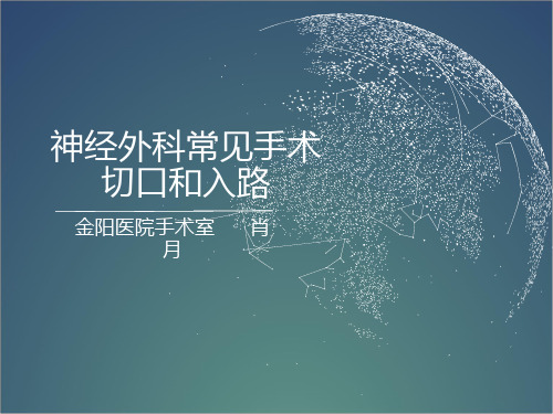 (完整版)神经外科常见手术入路