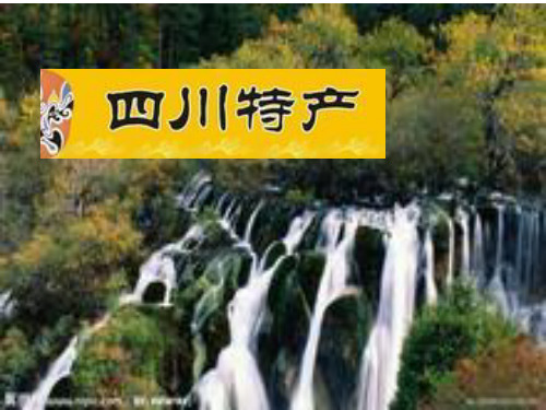 四川特产
