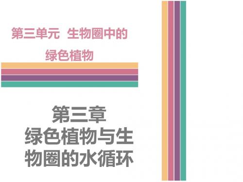 广东中考 高分突破人教版生物中考复习课件：第三单元第三章  绿色植物与生物圈的水循环