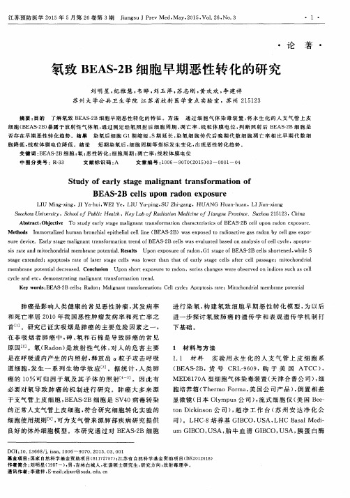 氡致 BEAS-2B 细胞早期恶性转化的研究