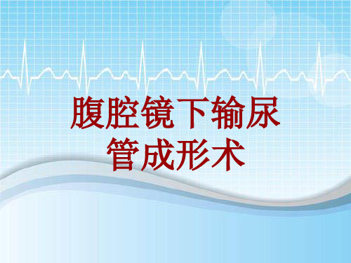 手术讲解模板：腹腔镜下输尿管成形术