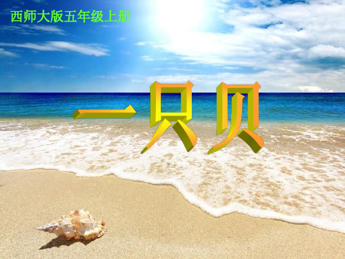 《一只贝》教学课件