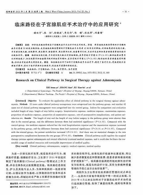 临床路径在子宫腺肌症手术治疗中的应用研究