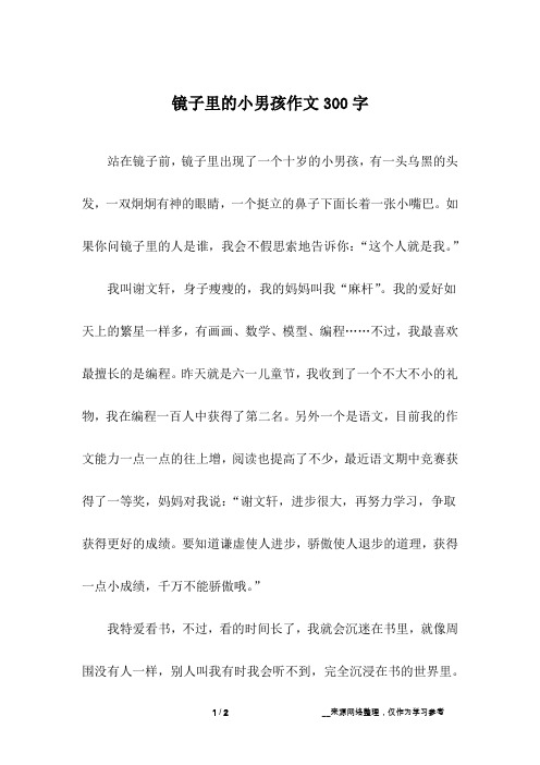 镜子里的小男孩作文300字
