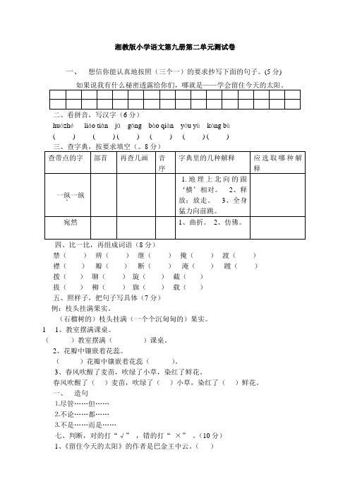 湘教版小学语文第九册第二单元测试卷