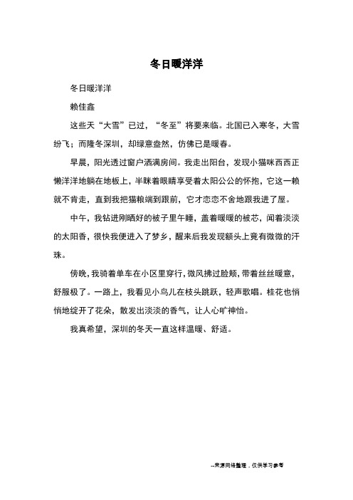 冬日暖洋洋_优秀作文