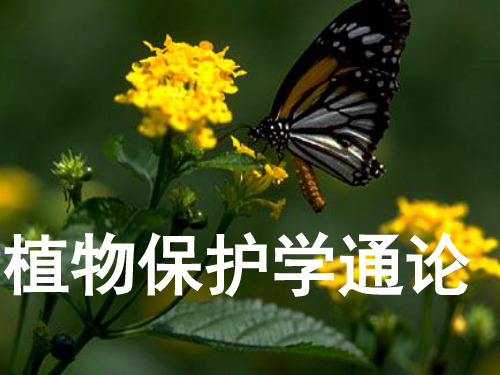 植物保护通论 第3章 昆虫分类 图文