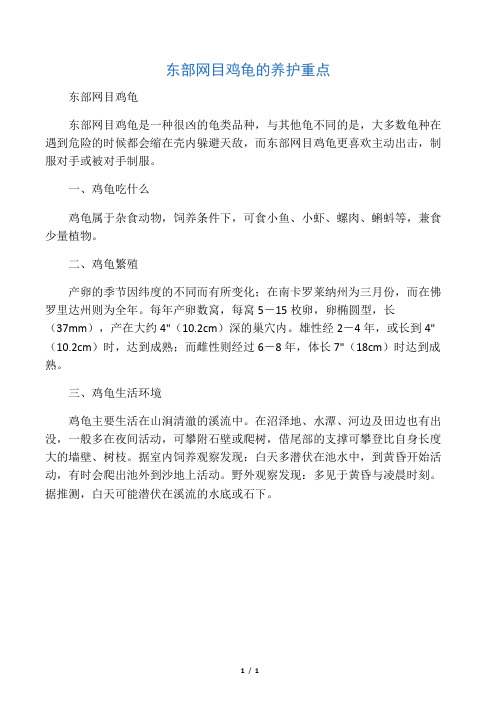 东部网目鸡龟的养护重点