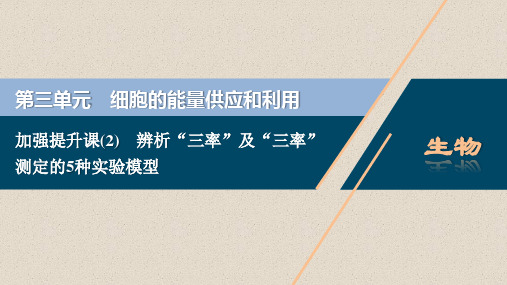 2021版高考生物(人教版)一轮复习课件：第三单元 加强辨析“三率”及“三率”测定的5种实验模型