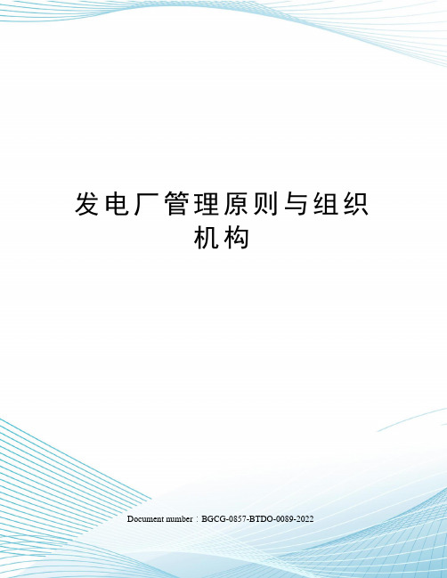 发电厂管理原则与组织机构