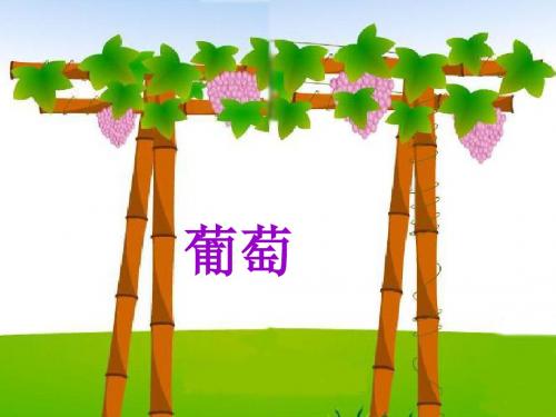 《酸的和甜的》ppt课件(24页)