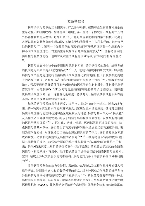 蓝藻钙信号