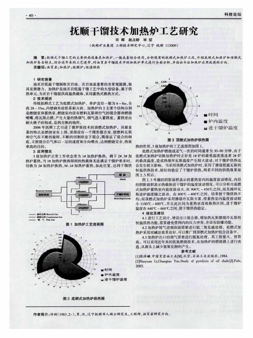 抚顺干馏技术加热炉工艺研究