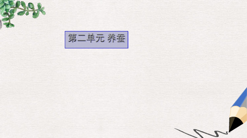 四年级科学下册2.2给蚕宝宝记日记课件2苏教版