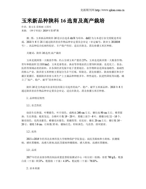 玉米新品种陕科16选育及高产栽培