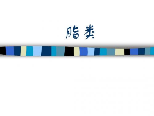 脂类(公共营养)