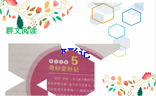 群文阅读：《奇妙变形记》公开课  课件PPT