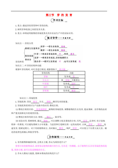 八年级生物上册 第三单元 第一章 第三节《芽的发育》导学案 (新版)冀教版