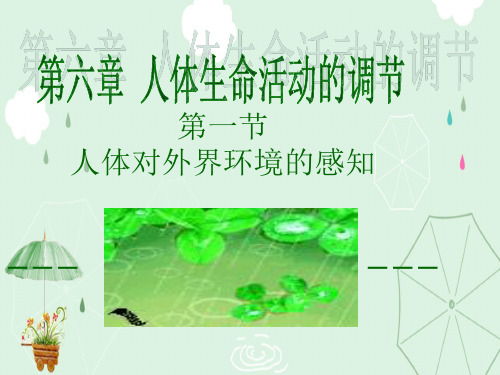七级生物下册第六章第一节人体对外界环境的感知──耳与听觉课件人教版